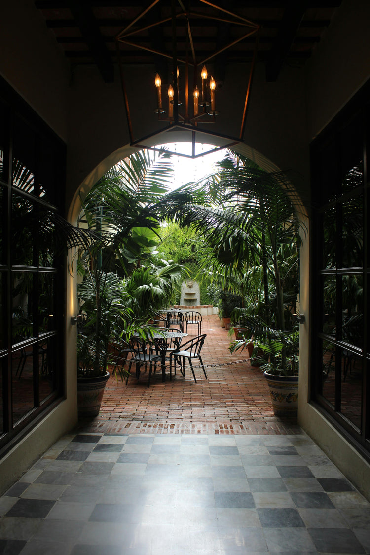 Garden Design & Installation