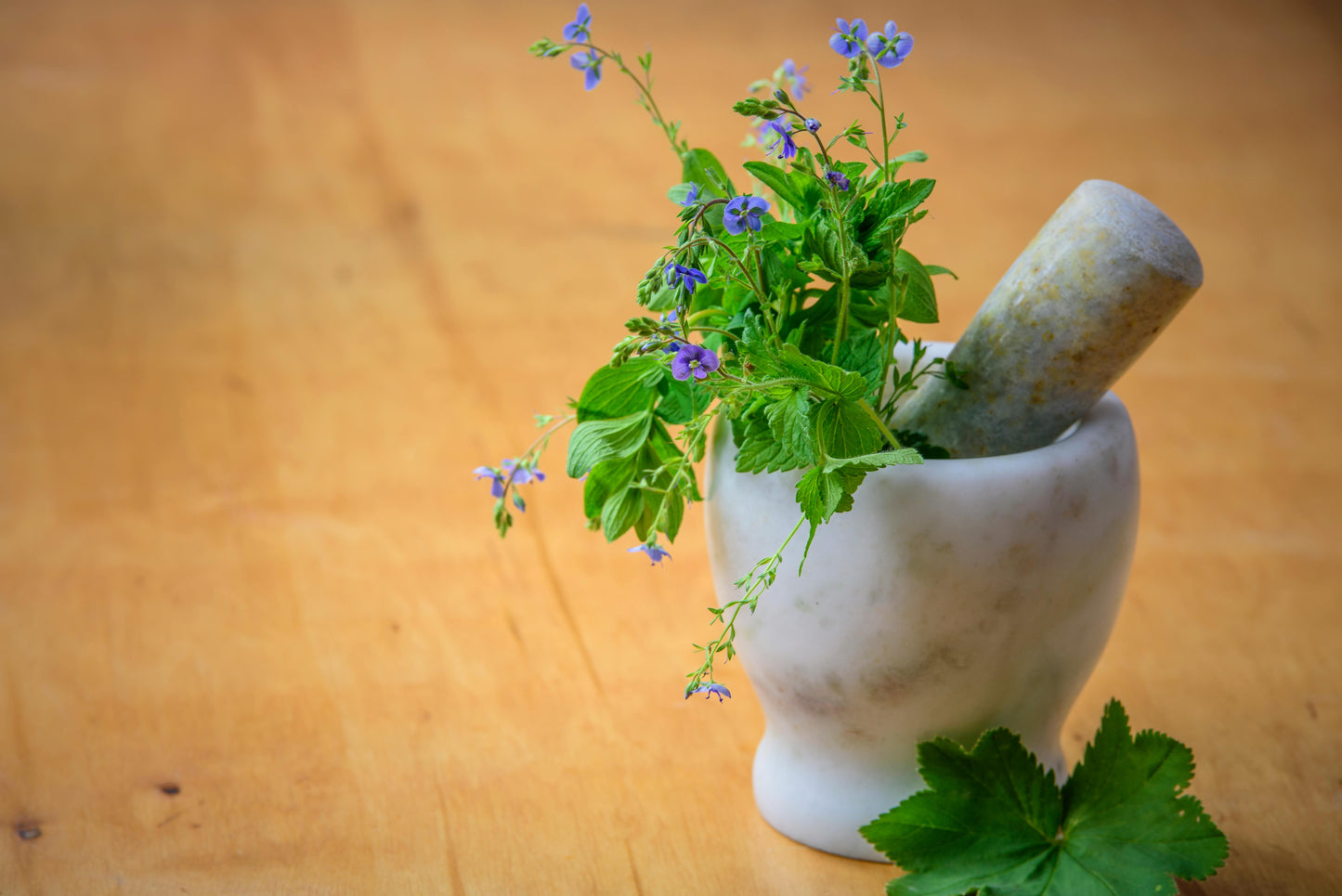 Pau D’Arco Tea | Sacred Bark for Inner Balance