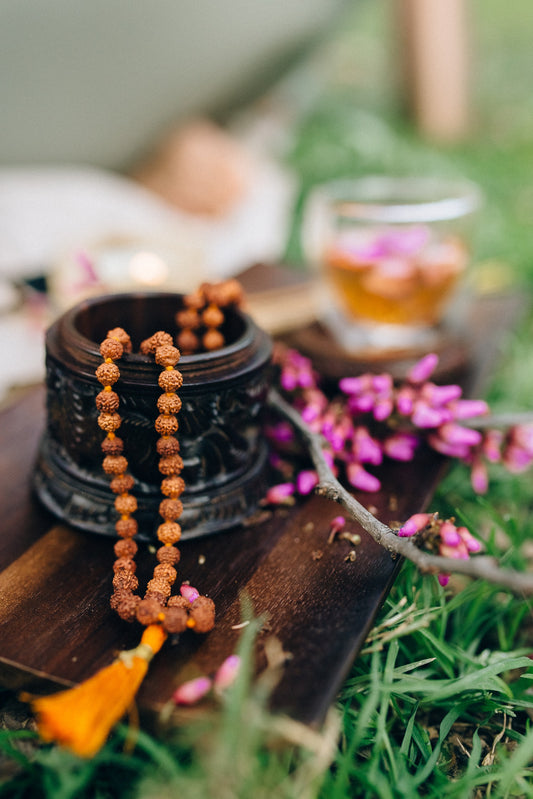 The Zen Experience Packages