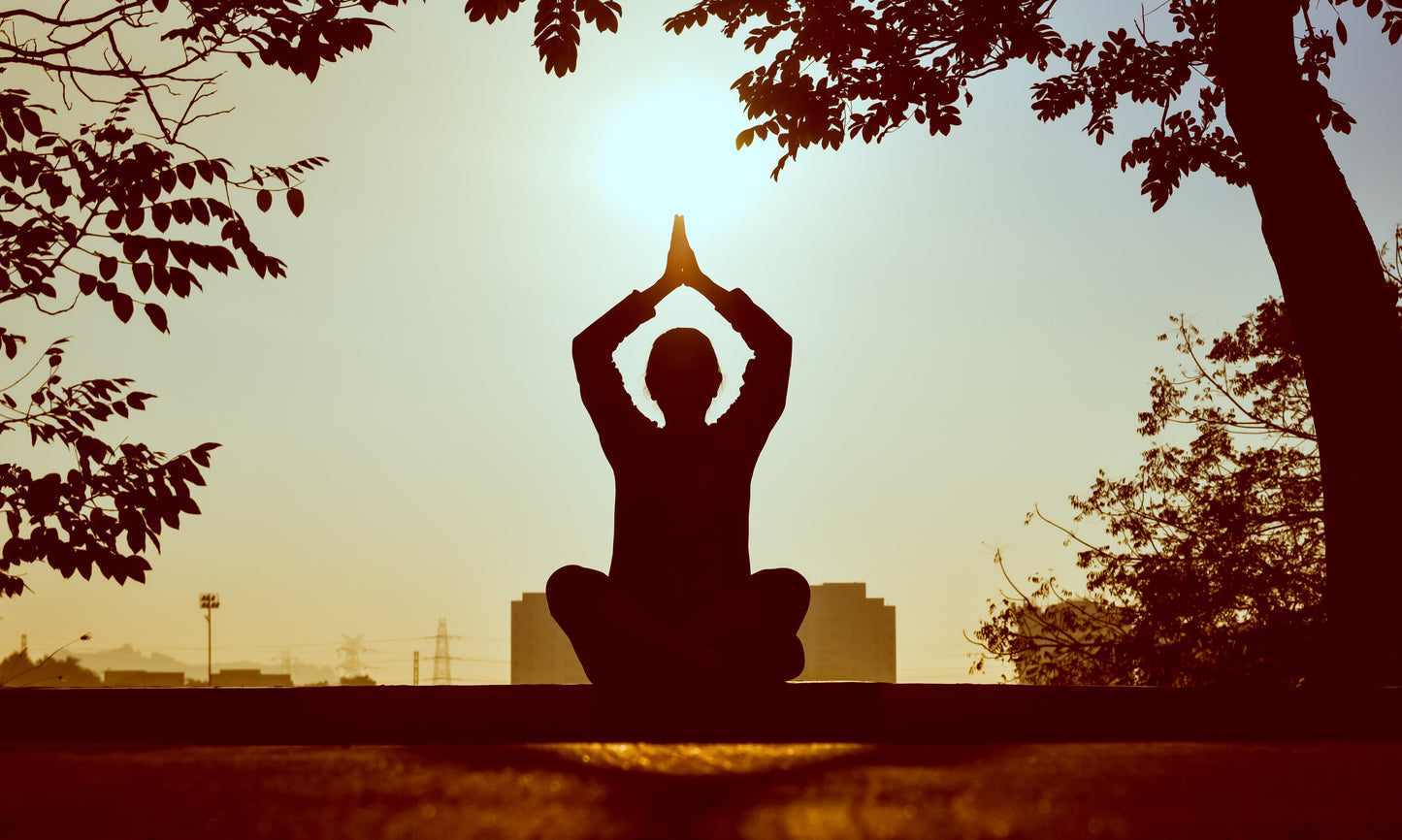 Reiki Healing Session