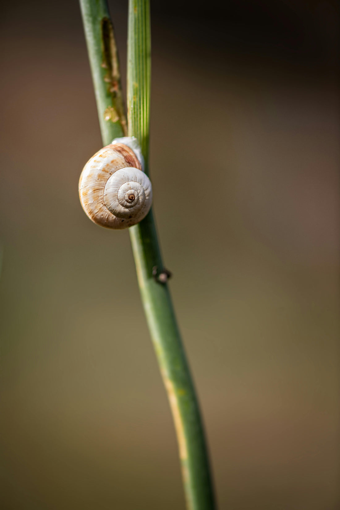What Do Plants & Parenting Have in Common? Patience.