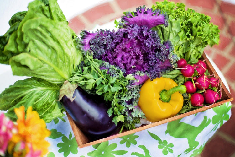 What's In Season? | Eating & Living With the Seasons