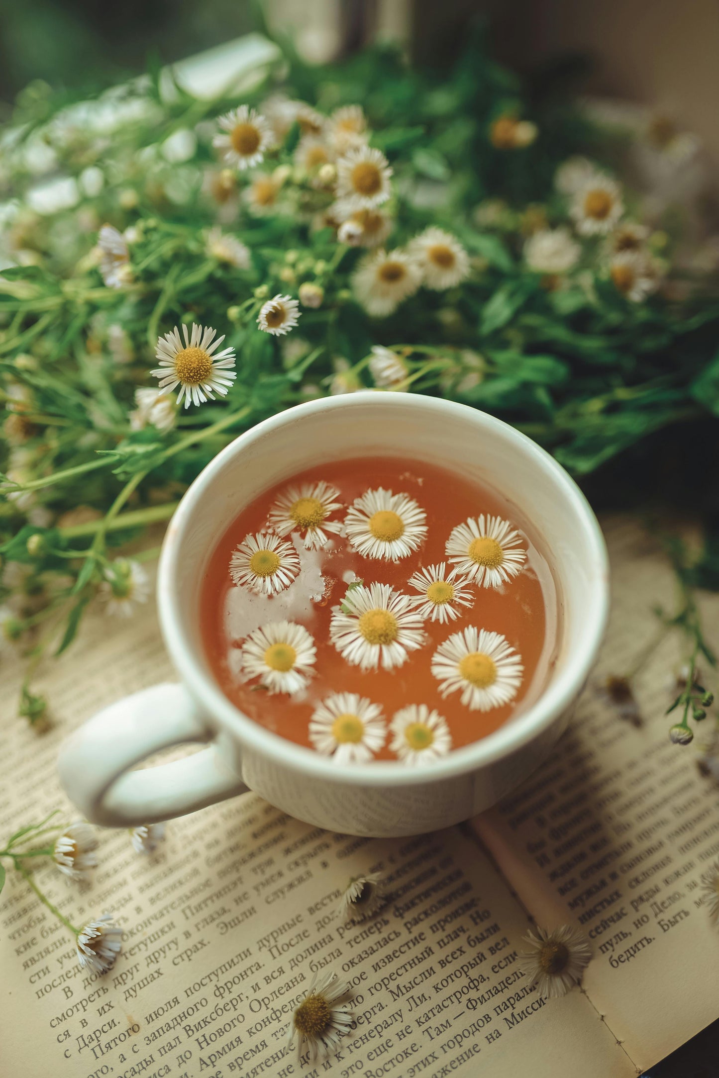 Put Me To Sleep | Herbal Bedtime Tea