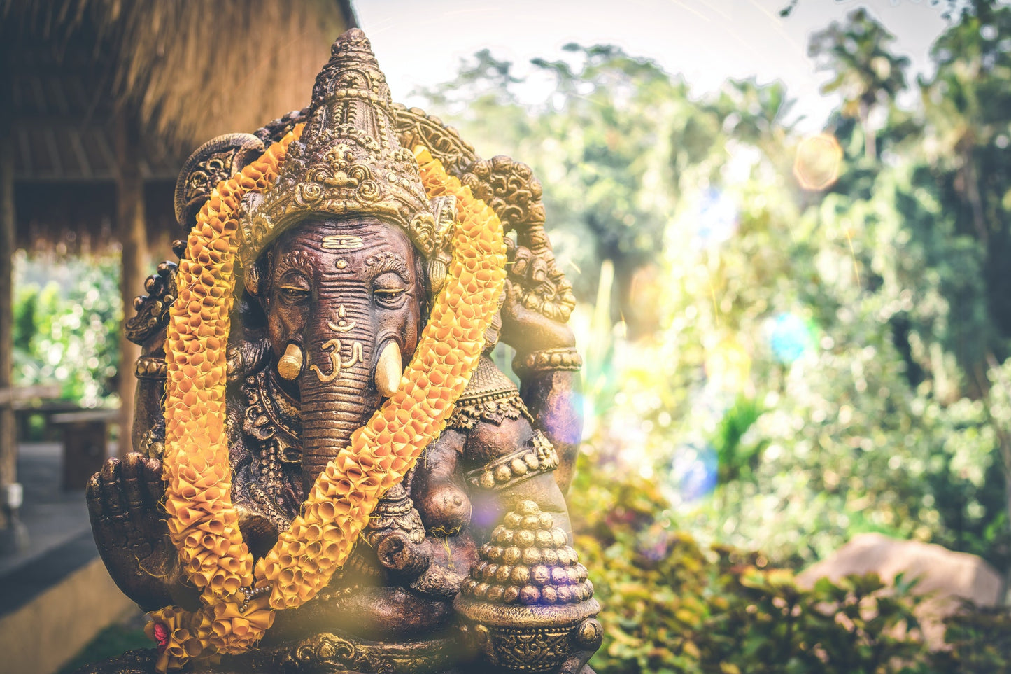 The Zen Experience Packages