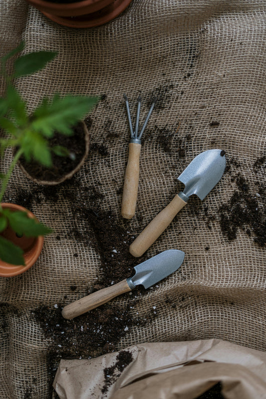 "From Seed to Sanctuary" | Let Your Garden Thrive with Our Holistic Maintenance Packages