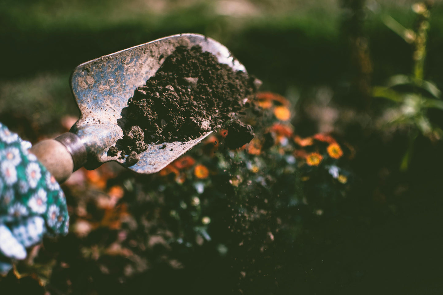 1:1 Beginner’s Planting Class