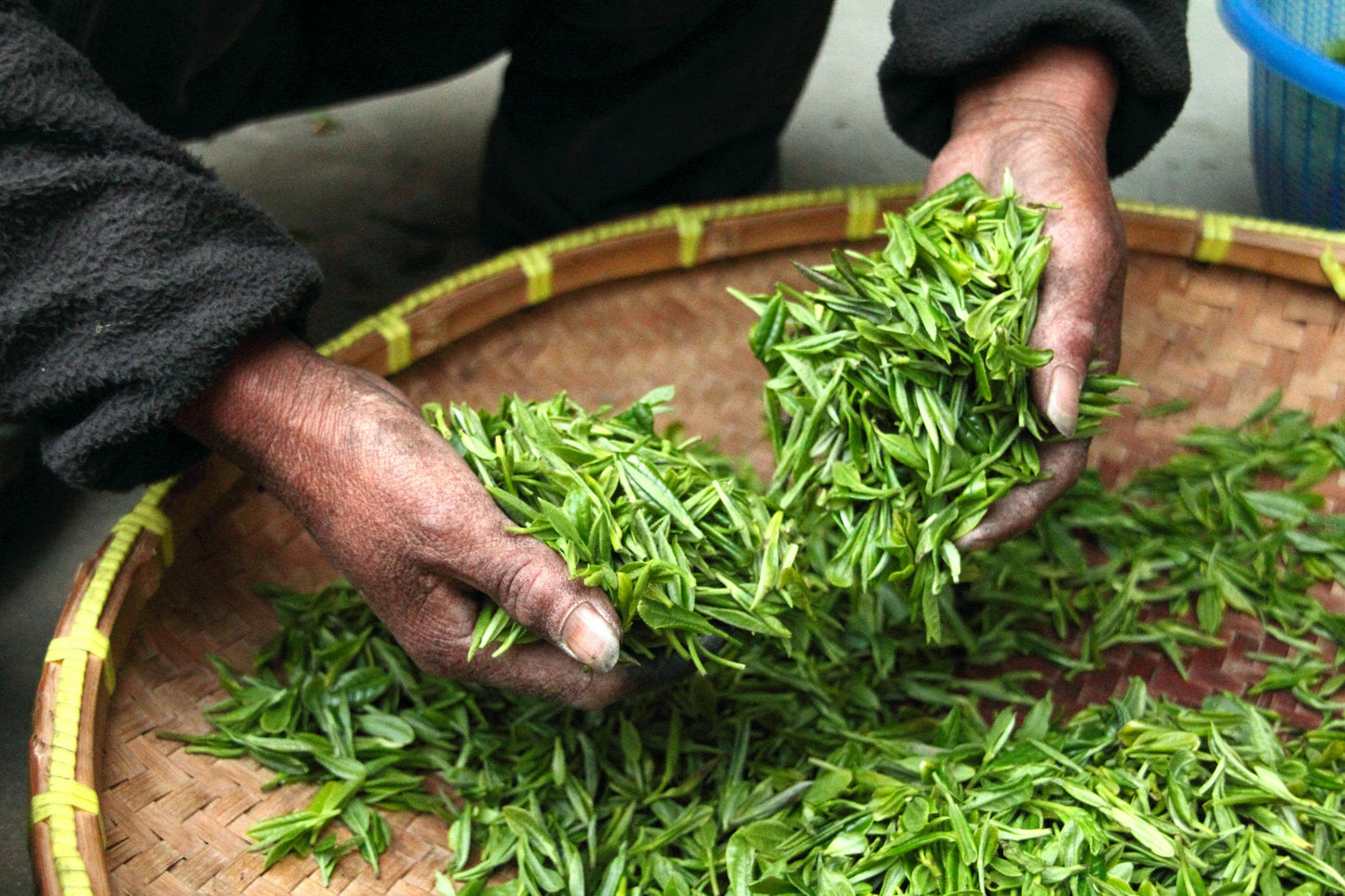 Making Medicine | A Hands-On Herbal Experience in the Garden
